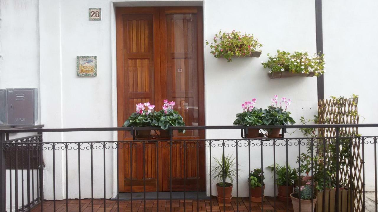 Guest House Le Ginestre Dell'Etna Belpasso Exteriér fotografie