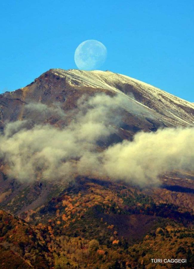 Guest House Le Ginestre Dell'Etna Belpasso Exteriér fotografie